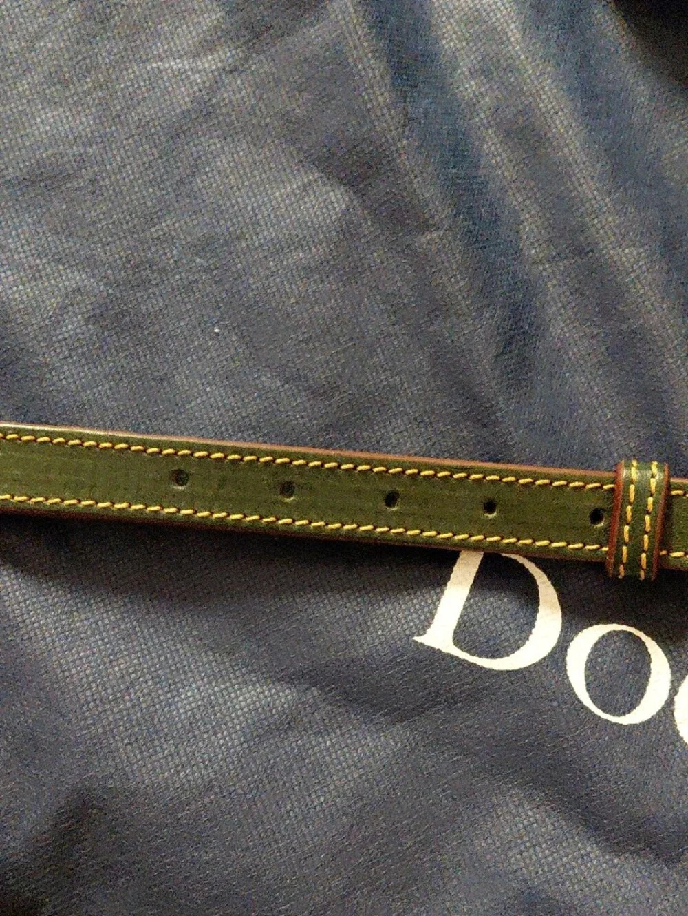 Dooney & Bourke Large Florentine Satchel In Ivy